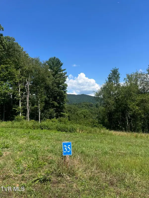 35 Cowan Town Road #35, Butler, TN 37640