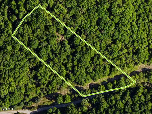 Tbd Hickman Hollow Road, Surgoinsville, TN 37873