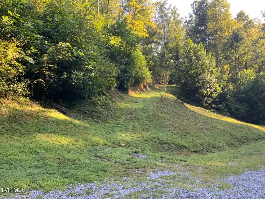 1262 Bright Hollow Lane, Hiltons, VA 24258 - #3
