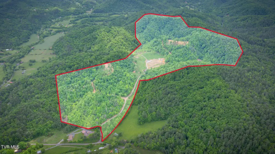 538 Punkton Road, Del Rio, TN 37727 - #3