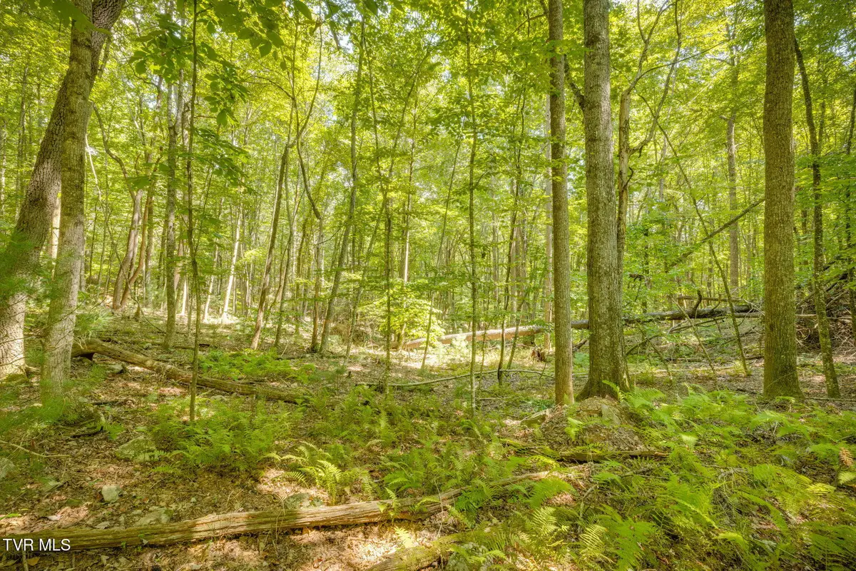 Lot 13 Black Bear Drive, Butler, TN 37640 - #1