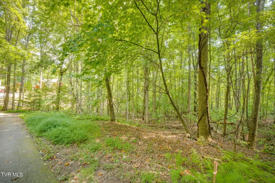 Lot 16 Forest Drive, Butler, TN 37640 - #2