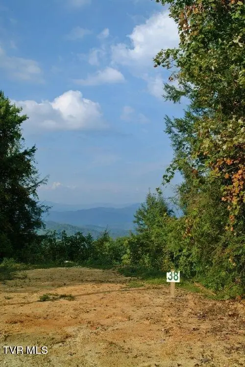 1008 Locust Lane, Butler, TN 37640