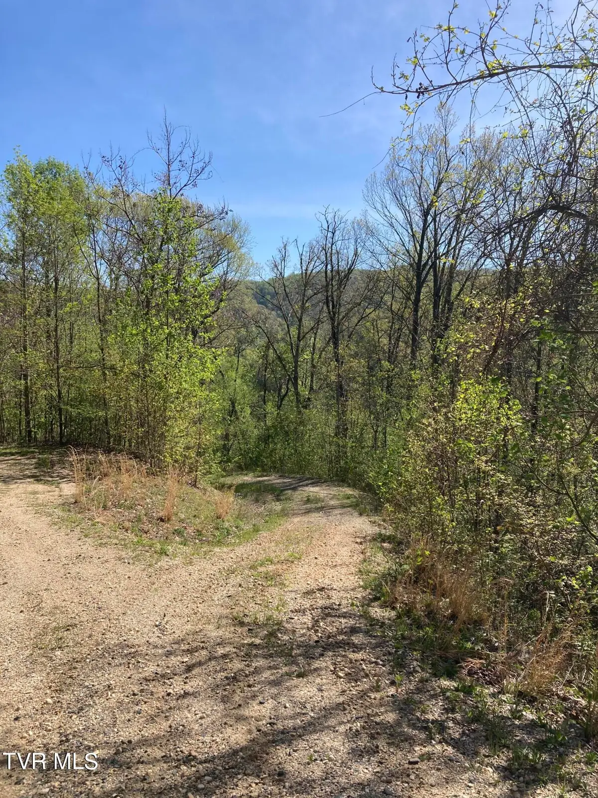 Tbd Tulip Poplar Trail #64, Butler, TN 37640 - #1
