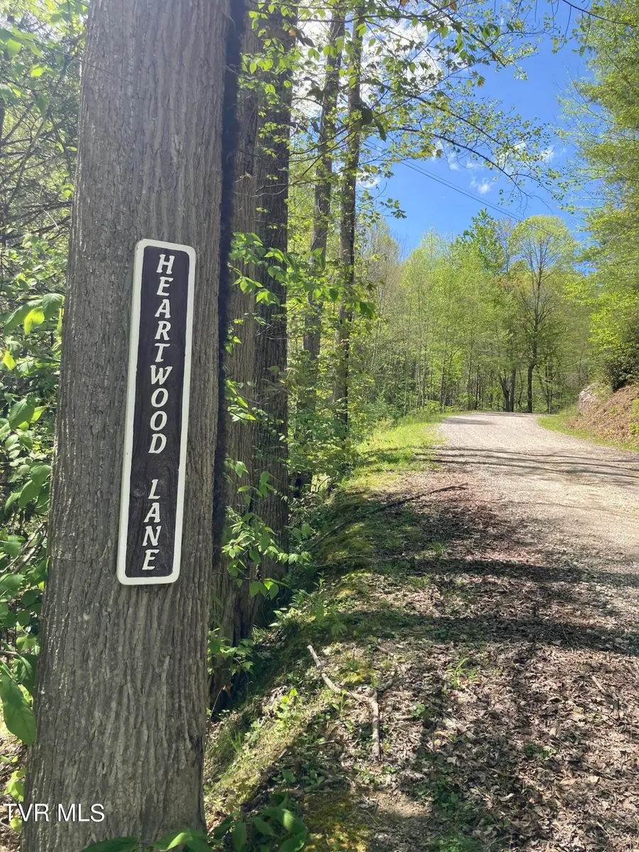 Tbd Tulip Poplar Trail #64, Butler, TN 37640 - #3