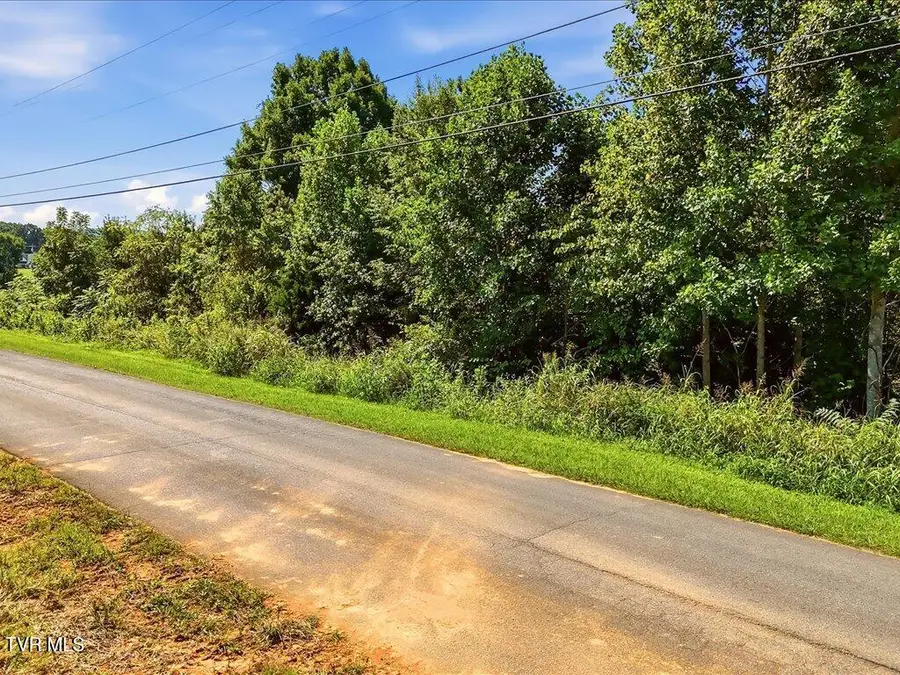 Lot 1 Holston River Drive, Rutledge, TN 37861 - #2