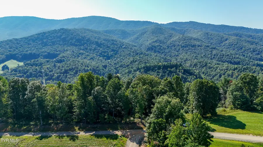 Lot 81 Summerfield Drive, Butler, TN 37640 - #3