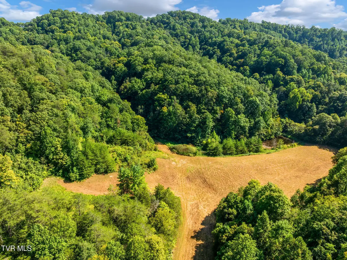 Tbd Bear Hollow, Greeneville, TN 37745 - #1