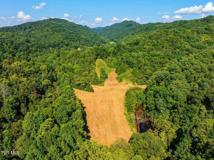 Tbd Bear Hollow, Greeneville, TN 37745 - #3