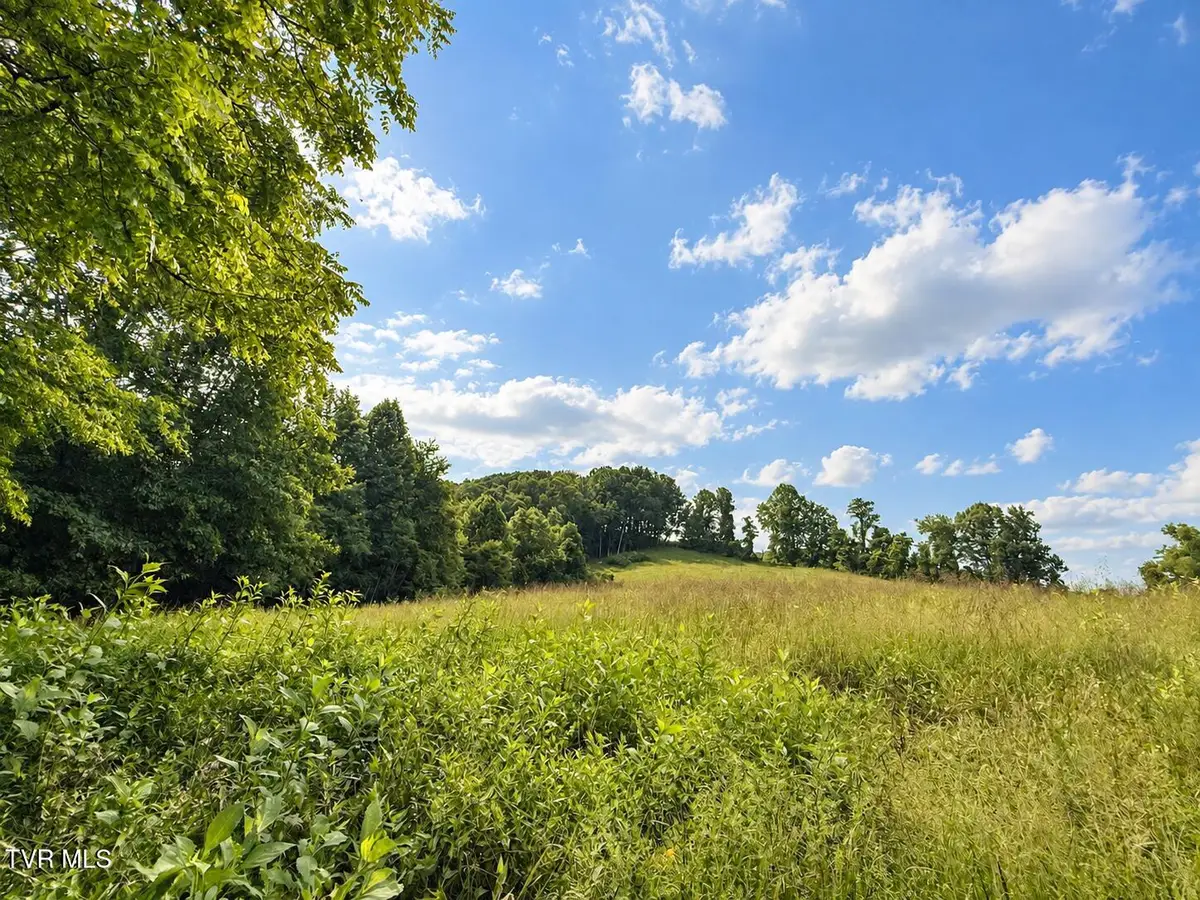 1859 Luray Road, Gate City, VA 24251 - #1