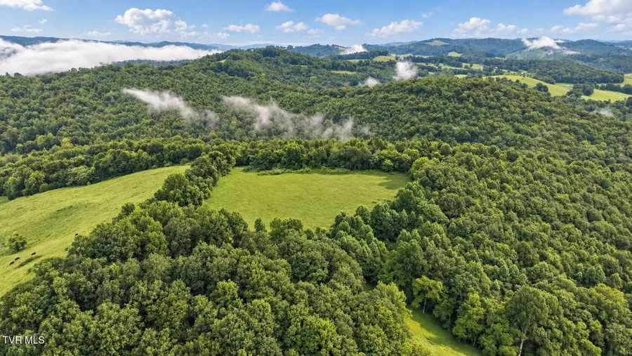 1859 Luray Road, Gate City, VA 24251 - #3
