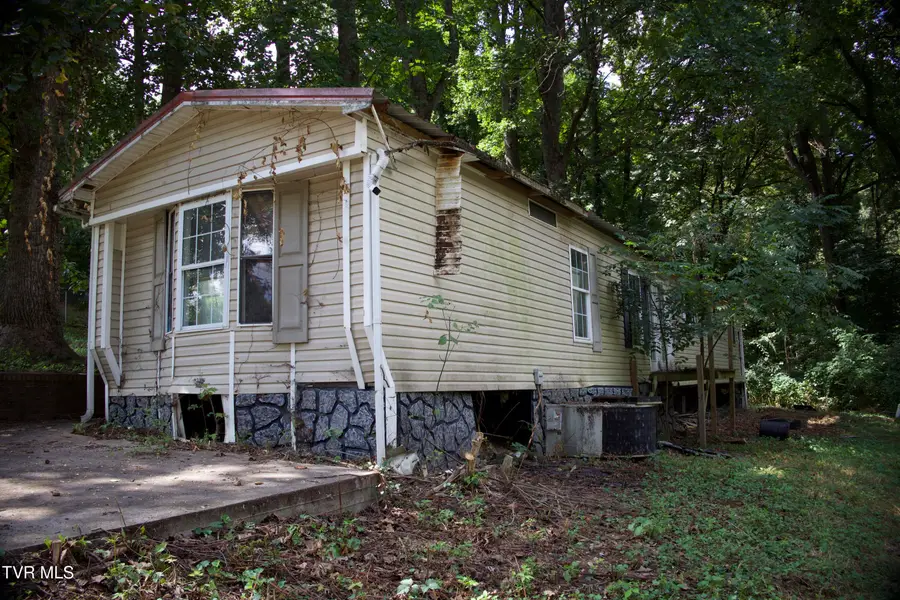 110 Renee Drive, Johnson City, TN 37601 - #2
