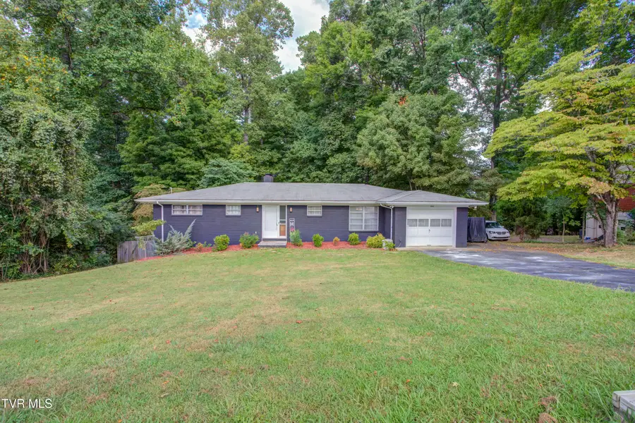 3942 Skyland Drive, Kingsport, TN 37664 - #3