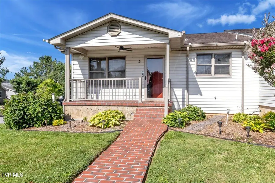 204 Hunter Hills Circle #Apt 3, Bristol, TN 37620 - #3