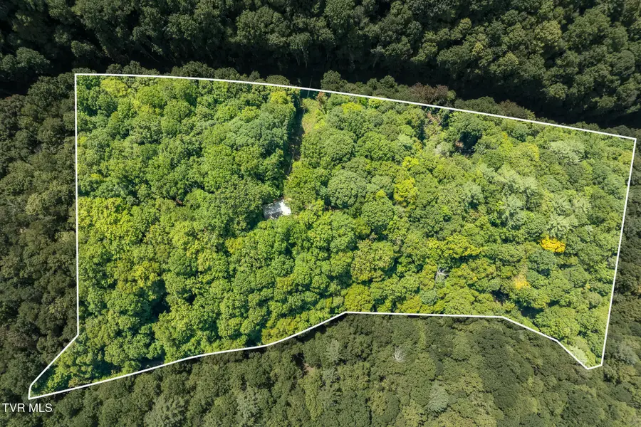 674 Culberson Lane, Mountain City, TN 37683 - #2