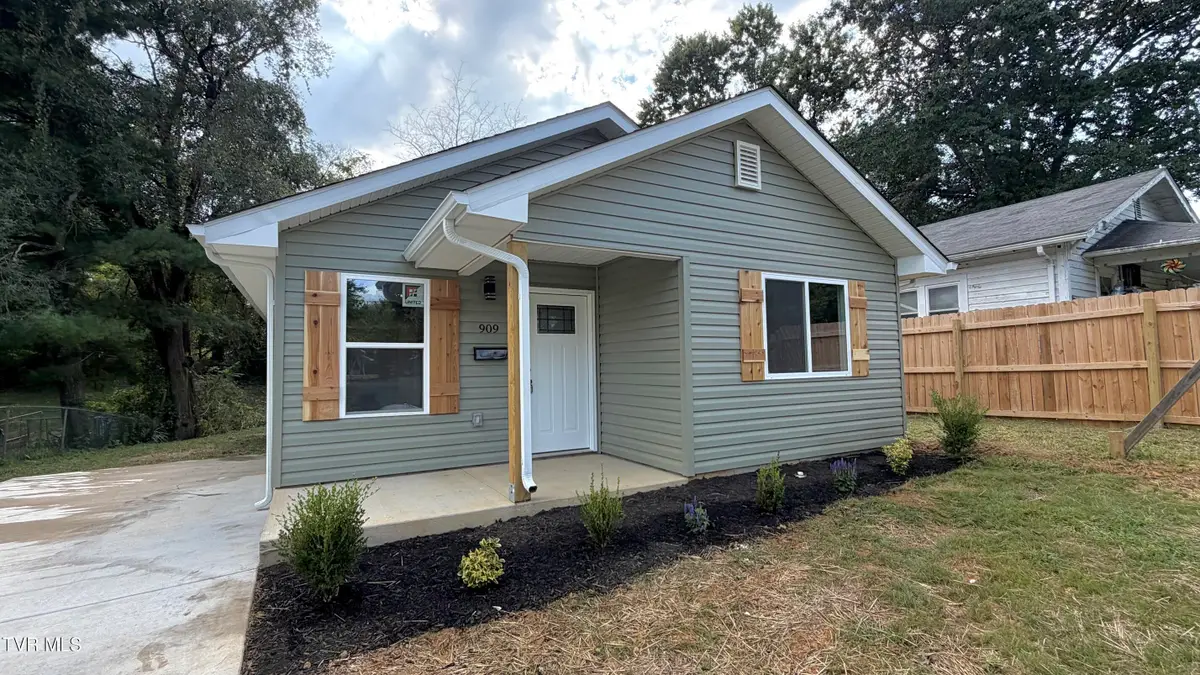 909 Pine Grove Avenue, Johnson City, TN 37601 - #1