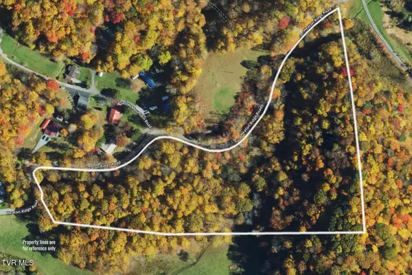 9.95 Acres Heaton Ridge Road, Roan Mountain, TN 37687