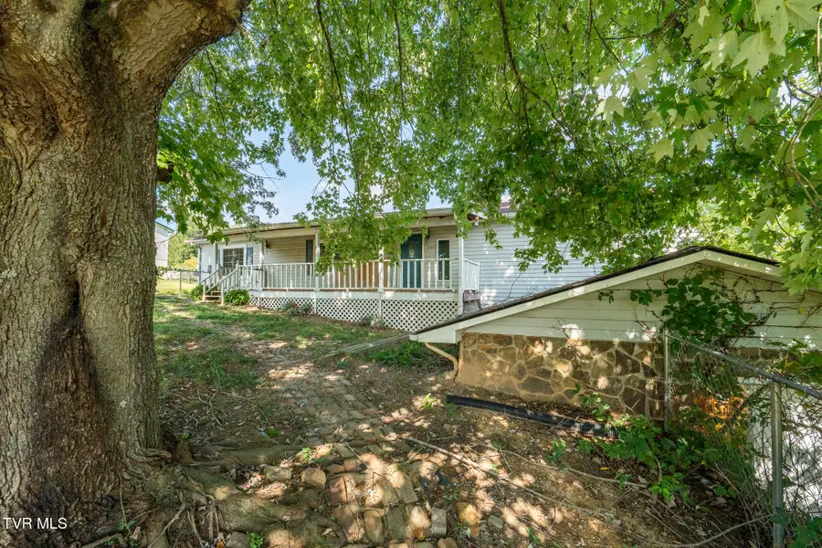 233 Taylor Drive, Piney Flats, TN 37686 - #3