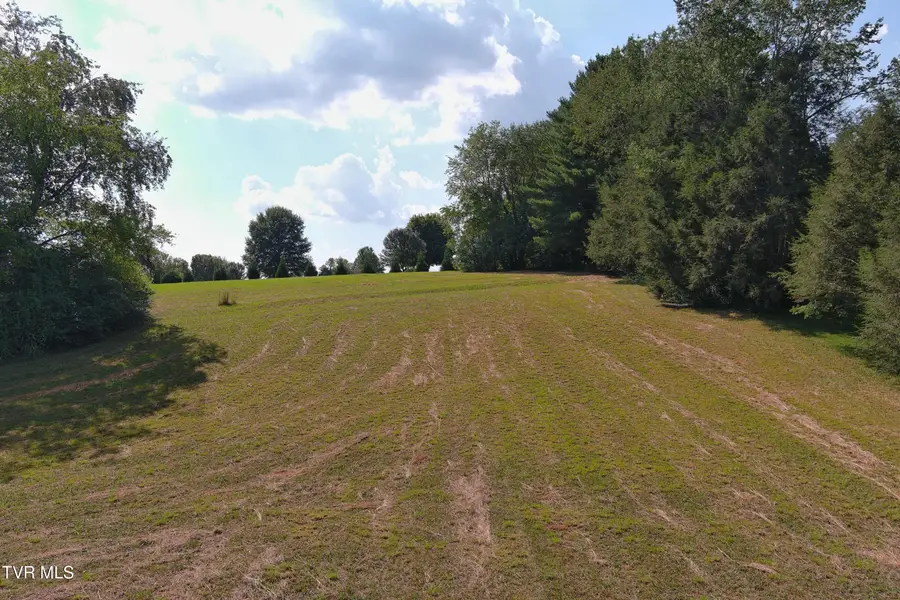 Lot 25 Par Lane, Greeneville, TN 37743 - #3
