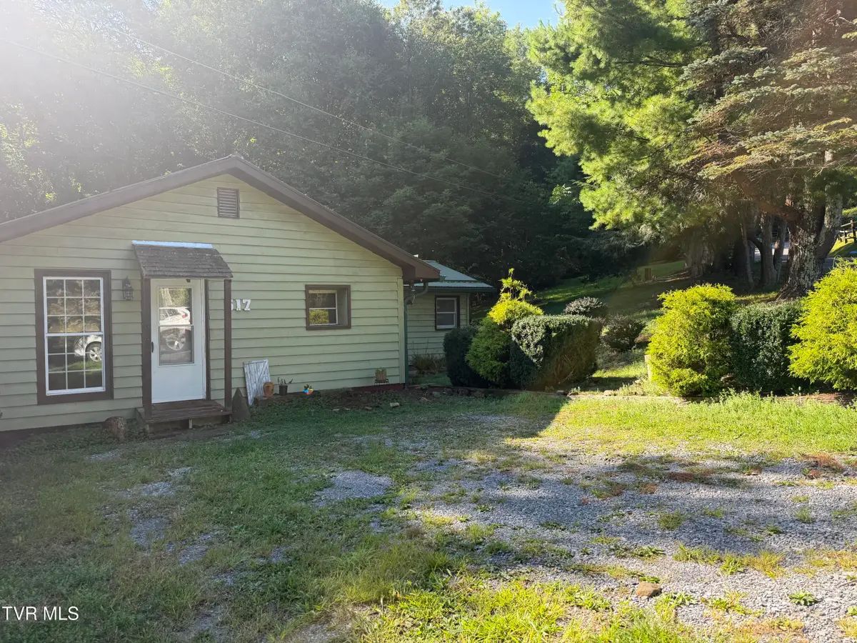 517 Burbank Road, Roan Mountain, TN 37687 - #1