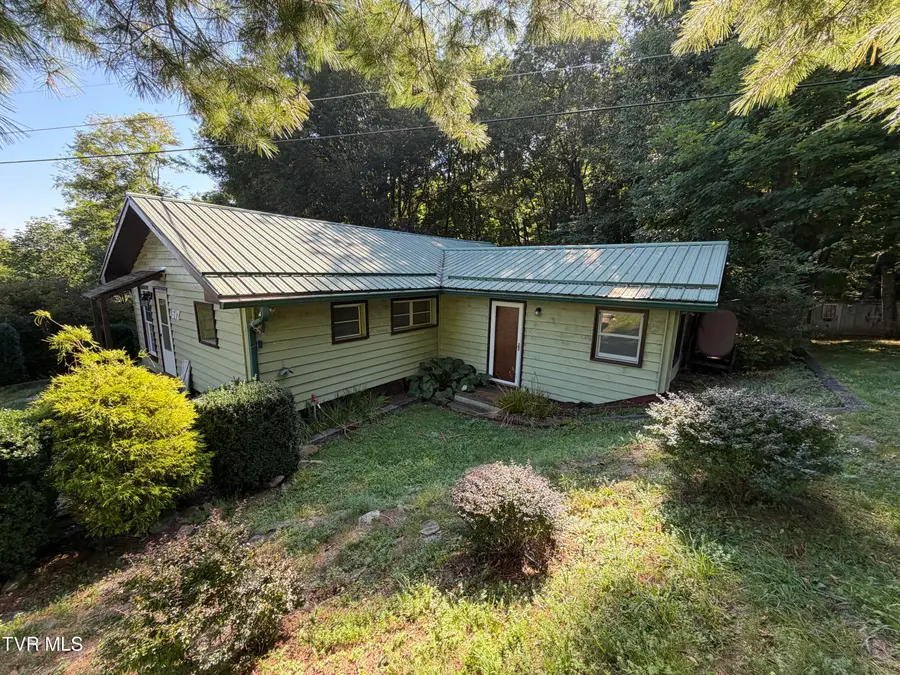 517 Burbank Road, Roan Mountain, TN 37687 - #3
