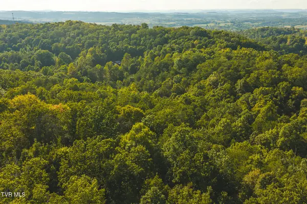 8.62 Ac Stone Mtn Road, Bulls Gap, TN 37711