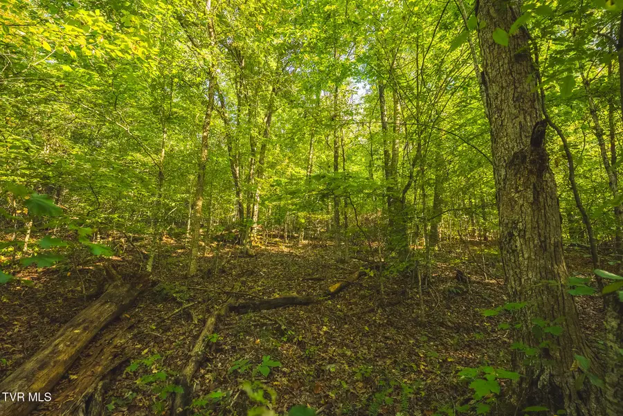 8.62 Ac Stone Mtn Road, Bulls Gap, TN 37711 - #3