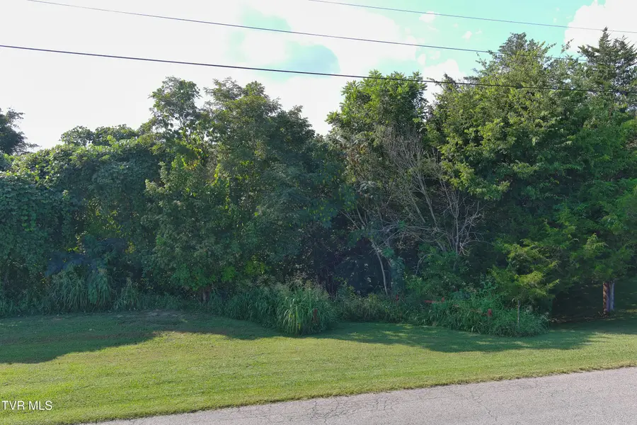 000 Weems Chapel Road, Mosheim, TN 37818 - #2