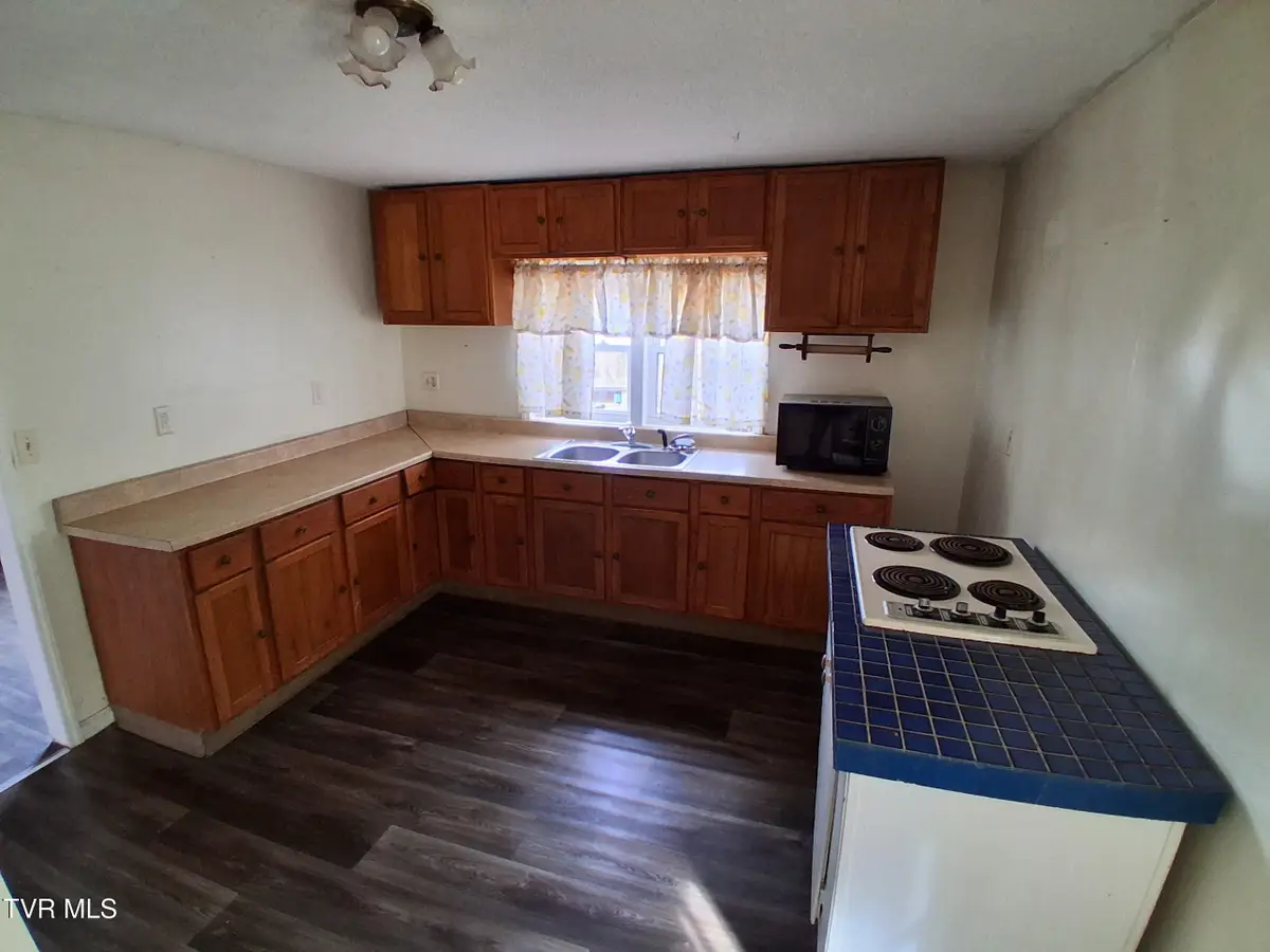 171 Hob Knob Drive, Gate City, VA 24251 - #1