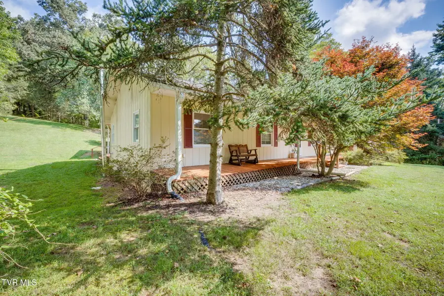 265 Horton Highway, Fall Branch, TN 37656 - #3