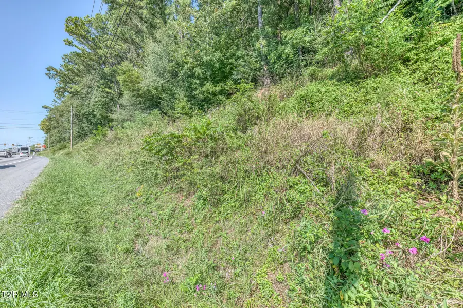 Tbd East Jackson Boulevard, Jonesborough, TN 37659 - #3
