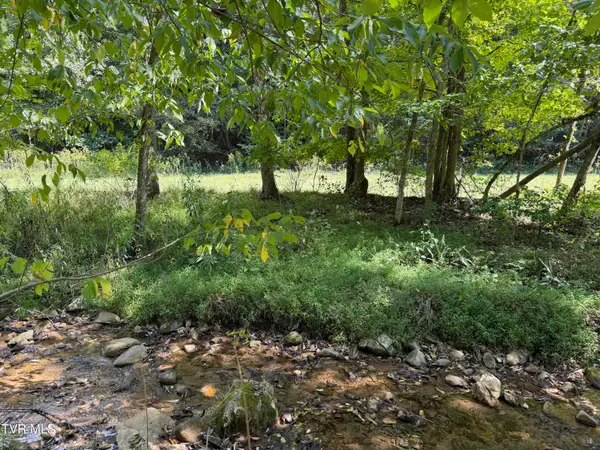 Lot 2 Greggs Branch Rd., Butler, TN 37640
