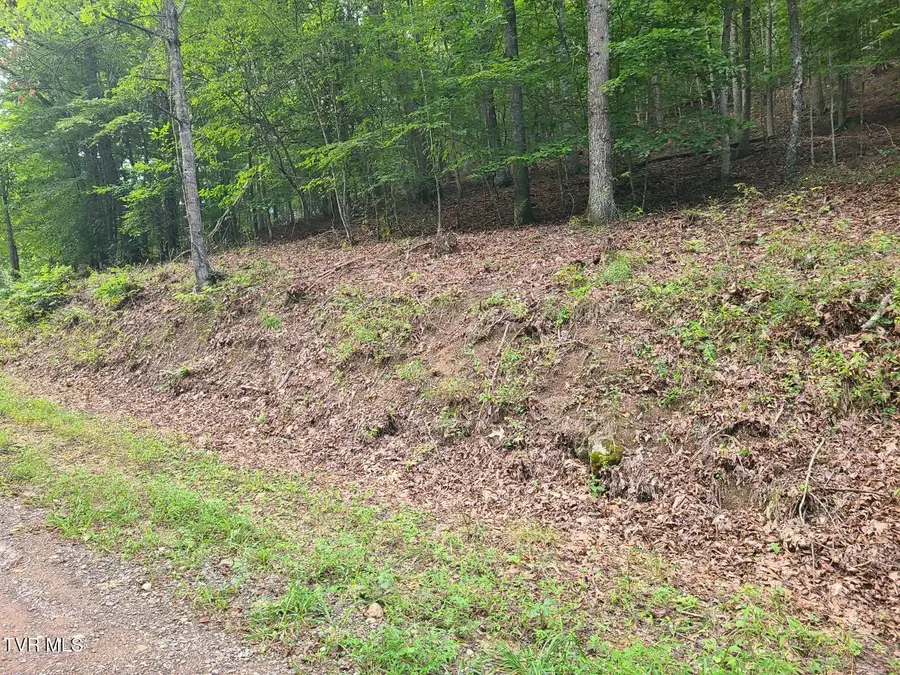 5 Fingers/forks Ln, Fort Blackmore, VA 24250 - #3
