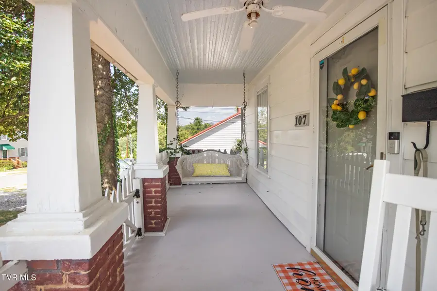 107 Peachtree Street, Johnson City, TN 37604 - #3