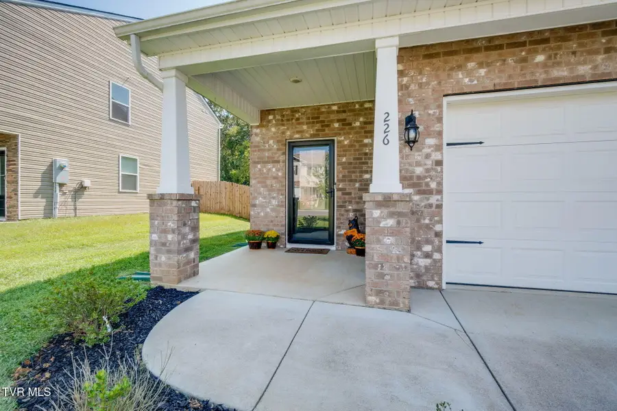 226 Crockett Drive, Church Hill, TN 37642 - #3