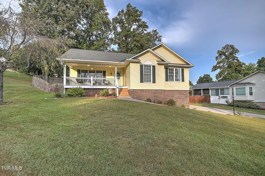 166 Nicole Drive, Mount Carmel, TN 37645 - #3