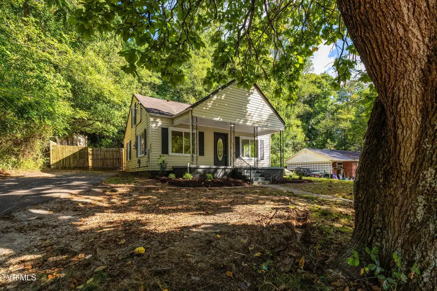 257 Shipp Springs Road, Kingsport, TN 37660 - #2