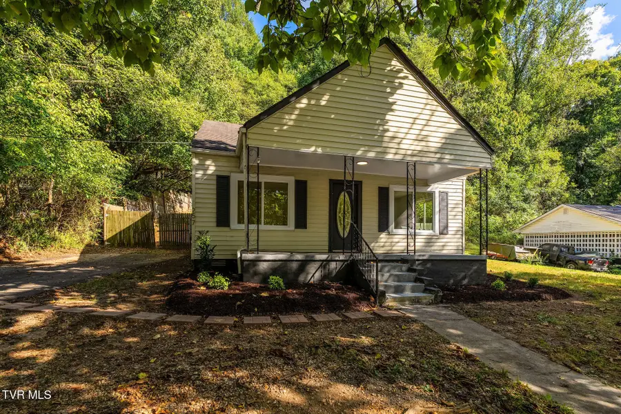 257 Shipp Springs Road, Kingsport, TN 37660 - #3