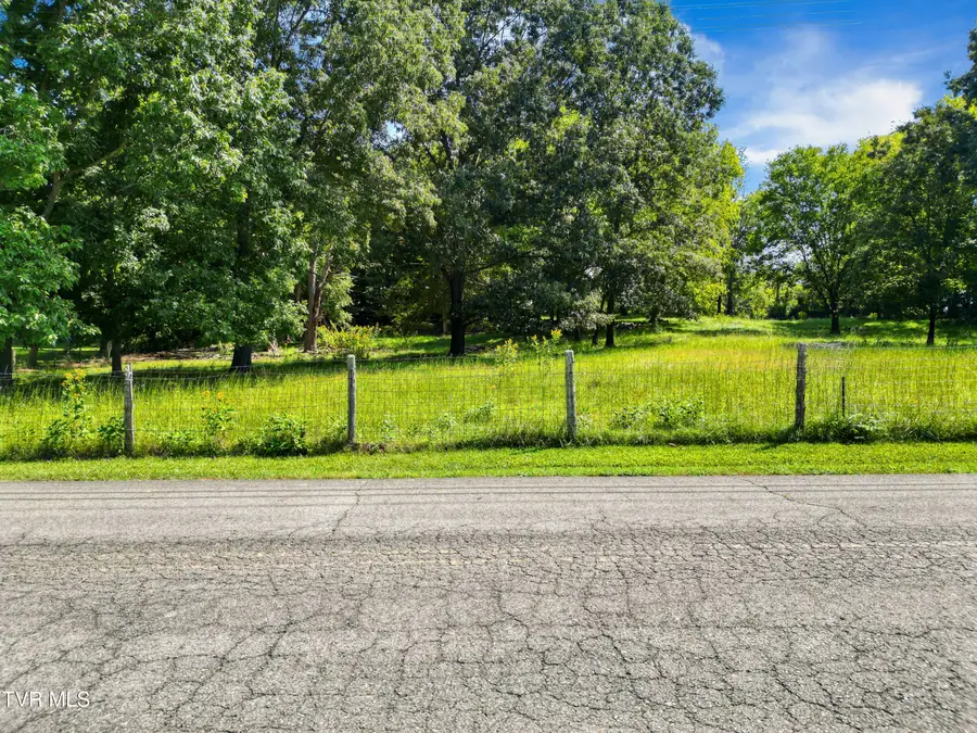 Tbd Meadowbrook Road, Afton, TN 37616 - #3