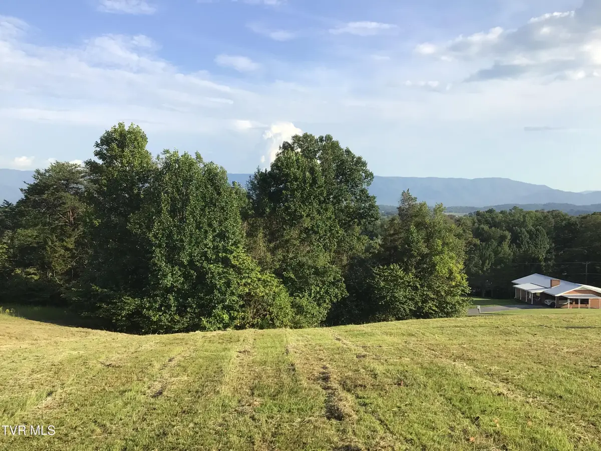 Tbd Ed Crum Way, Greeneville, TN 37745 - #1