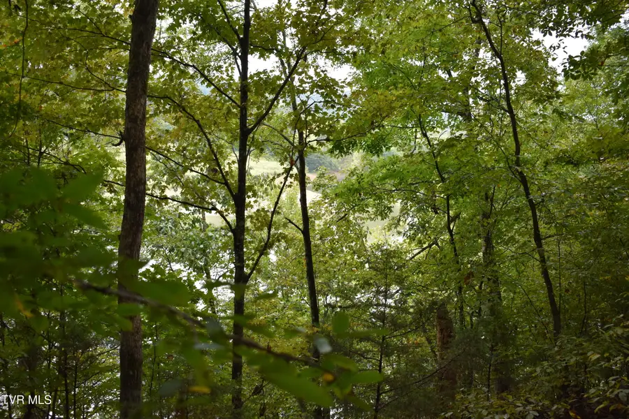 0 Brooks Pointe Drive #Lot 59, Rogersville, TN 37857 - #2