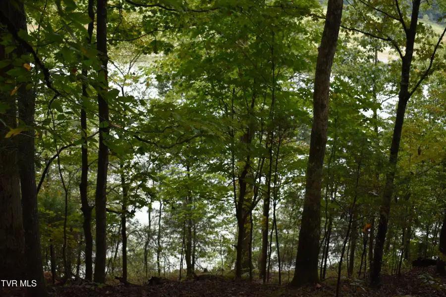 0 Brooks Pointe Drive #Lot 59, Rogersville, TN 37857 - #3