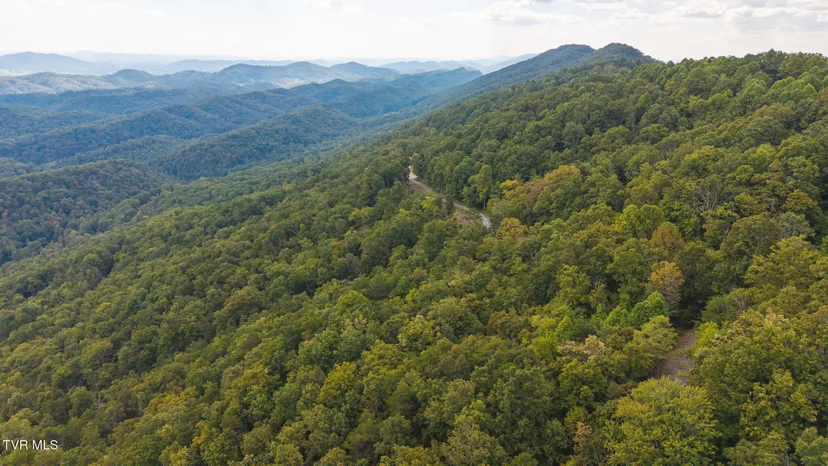 170 Fire Tower Road, Mooresburg, TN 37811 - #1