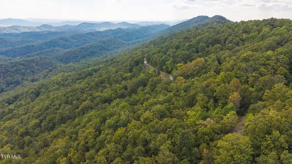 170 Fire Tower Road, Mooresburg, TN 37811