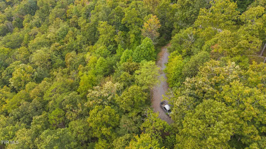 170 Fire Tower Road, Mooresburg, TN 37811 - #2