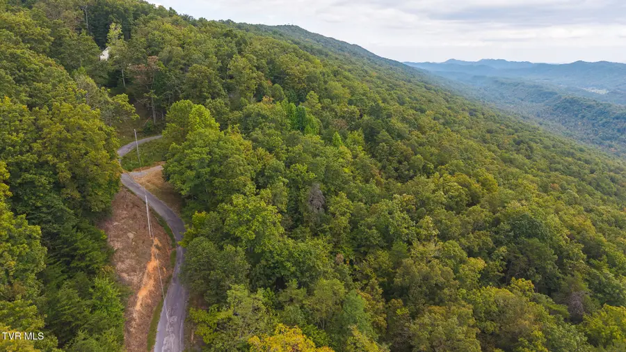170 Fire Tower Road, Mooresburg, TN 37811 - #3