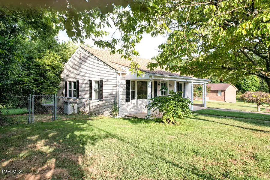 133 Hopeville Avenue, Greeneville, TN 37745 - #2