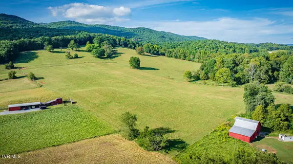 295 Lewis Cole Loop Loop, Elizabethton, TN 37643