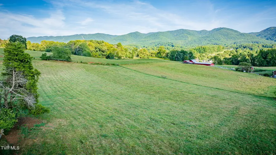 295 Lewis Cole Loop Loop, Elizabethton, TN 37643 - #3
