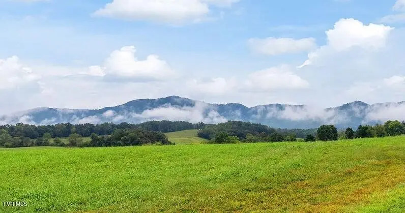 5130 Cedar Creek Road, Greeneville, TN 37743 - #3